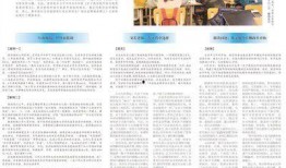 社会热点事件素材,XX事件背后的深思与启示